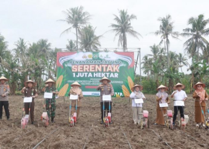 Sinergitas Polres Lampung Selatan dan Pemda Tanam Jagung Serentak 1 juta Hektare 