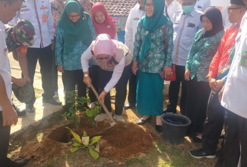 Batuketulis Laksanakan Gerakan Penanaman Pohon, Dukung Komitmen Kabupaten Konservasi