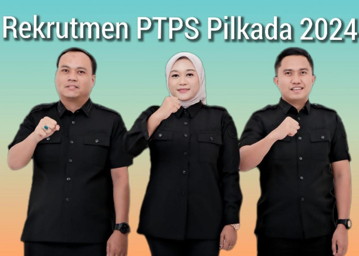 Bawaslu Pesisir Barat Buka Rekrutmen PTPS Pilkada 2024, Cek Syarat Lengkapnya!