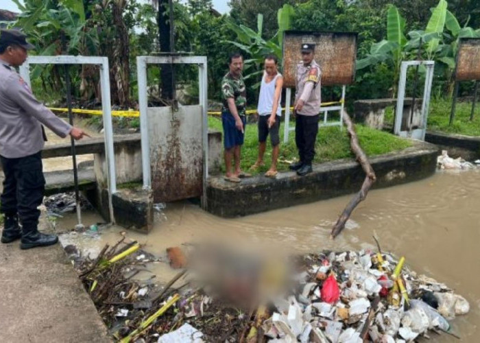 Geger! Warga Adijaya Temukan Mayat Bayi di Irigasi