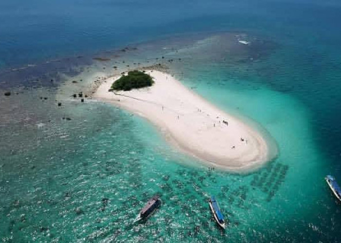 Pulau Badul, Surga Bawah Laut di Ujung Kulon