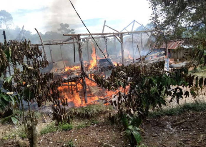Ditinggal Pemilik Pergi Ke Kebun, Satu Rumah Panggung di Pekon Sukabumi Ludes Terbakar 