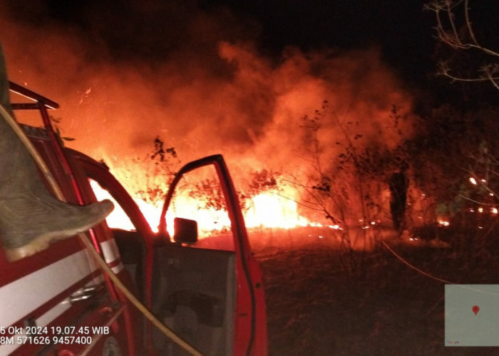 350 Hektar Lahan dan Satwa Terbakar di Taman Nasional Way Kambas