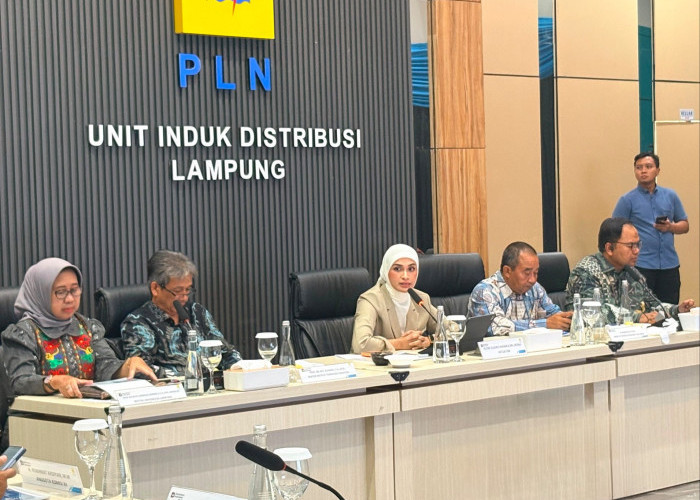 PLN UID Lampung Dukung Penyempurnaan RUU Ketenagalistrikan Demi Ketahanan Energi Nasional