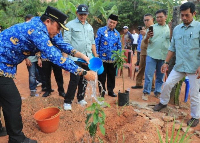 Tanam Komitmen Hijau, Parosil Bagikan 240 Bibit Alpukat Siger ke Warga Suka Pura