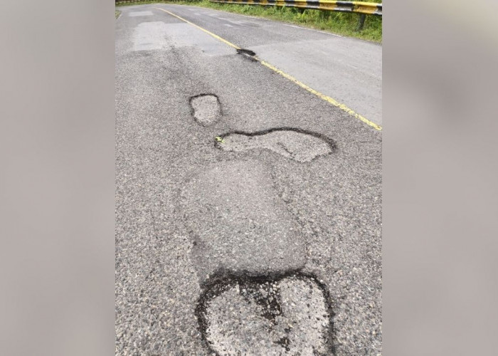 Warga Pelitajaya Minta BPJN Perbaiki Jalinbar yang Berlubang