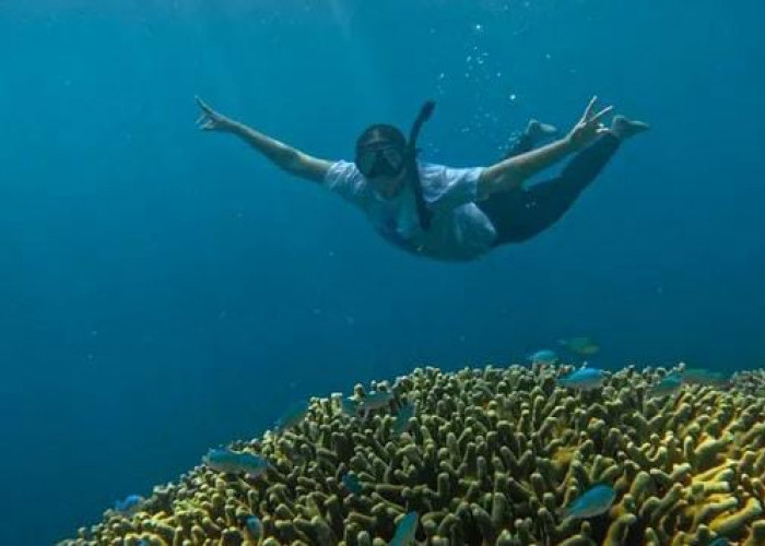 Eksotika Snorkeling di Gili Ketapang, Permata Pantai Utara Probolinggo Jawa Timur
