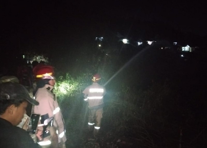 Diduga Puntung Rokok, Lahan Rumput Kering di Pekon Ampay Bandar Lampung Terbakar