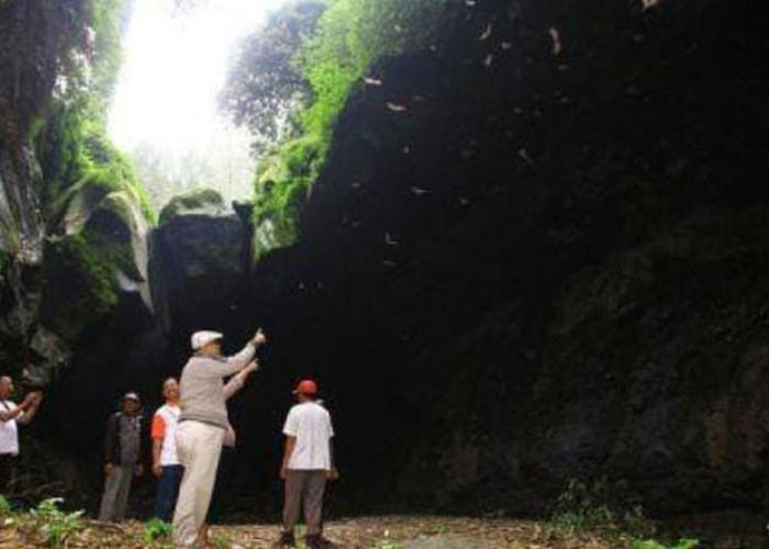 Menyapa Ribuan Kelelawar di Gua Batman