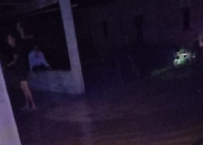 Hujan Deras, Dua Pekon di Kecamatan Ngaras Dilanda Banjir