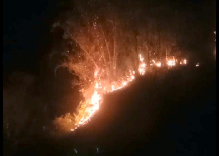 Rumpun Bambu Dekat Pemukiman Padat Penduduk di Pajar Bulan Terbakar, Warga Sempat Panik