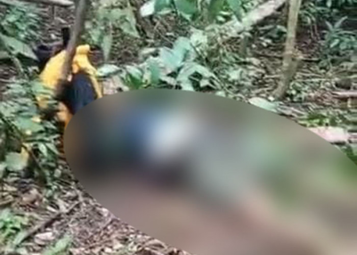 Diduga Jatuh dari Ranggon, Mayat Seorang Pemburu Ditemukan Membusuk di Hutan 