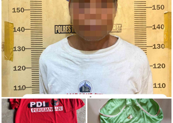Kakek Tiri di Tubaba Ditangkap Polisi Usai Diduga Setubuhi Cucu Tirinya