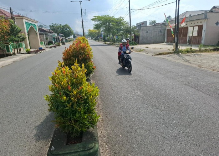 Kerap Picu Lakalantas, DLH Segera Pangkas Tanaman di Median Jalan Jalur Dua Raden Intan