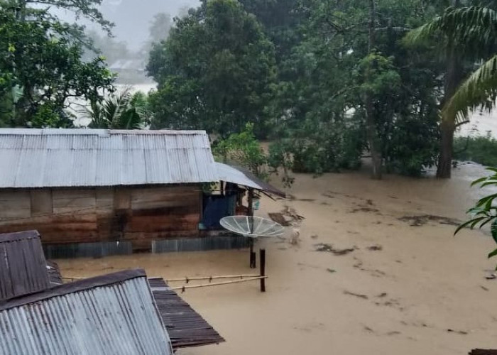 Hujan Deras Picu Banjir, Sejumlah Rumah Warga Terendam Air