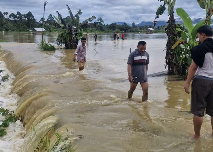 Banjir di Kecamatan Kebun Tebu - Gedung Surian dan Air Hitam Rugikan Petani Ikan Berkisar Rp 8 Miliar 