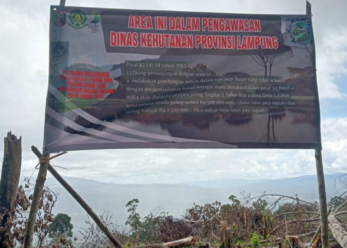 Polisi Masih Terus Dalami Kasus Illegal Logging di HL Register 43B di Belalau