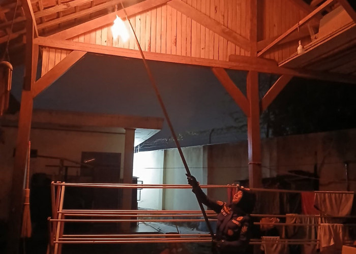 Sarang Tawon dan Ular Mendominasi, Damkar Bandar Lampung Tangani 856 Kasus