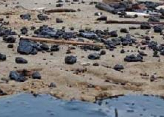 Keluhan Warga Kalianda Lampung Selatan Soal Limbah Tahunan Mengotori Pantai Kedu Warna tak Kunjung Selesai