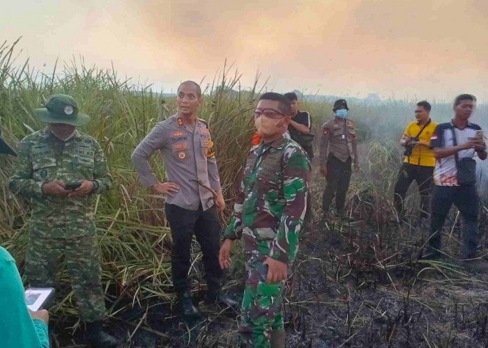 Karhutla Way Kambas Padam, Petugas Lanjutkan Pembasahan Cegah Api Kembali