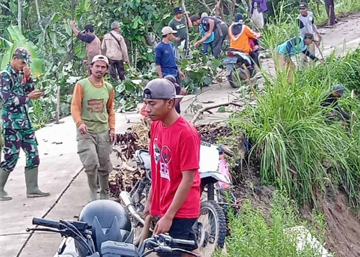 Warga dan Aparat Pekon Rigis Jaya Gotong Royong Antisipasi Jalan Putus Akibat Longsor