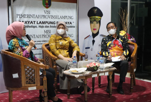 Kadis PPPA Sampaikan Keberhasilan Lampung Raih Penghargaan Provila