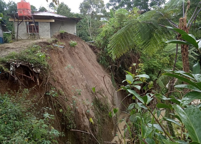 Sawah Mantan Anggota DPRD Rusak Akibat Banjir, Rumah Kepala Lingkungan Terancam Longsor