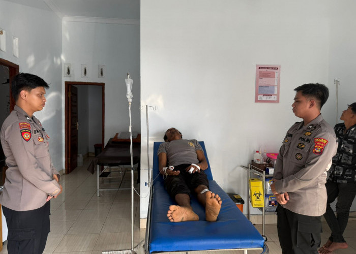 Warga Pesisir Barat Diserang Beruang, Alami Luka Serius dan Jalani 23 Jahitan