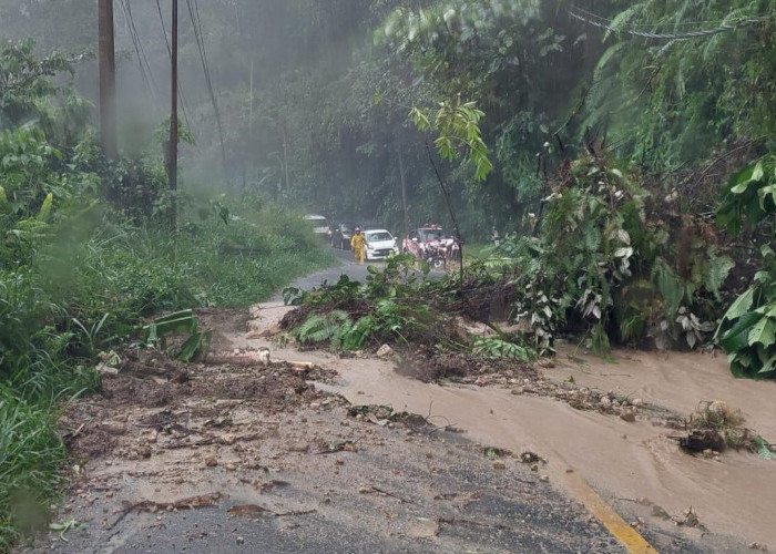 Hujan Lebat, Jalan Lintas Nasional di Tanjakan Pekon Kerang-Kotabesi Tertimbun Longsor