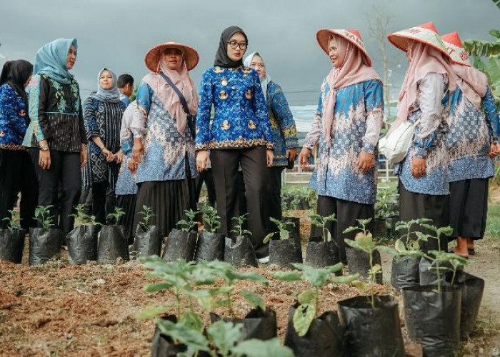Hunian Hijau Berkelanjutan, Wagub Jihan Ajak KWT Maksimalkan Pekarangan