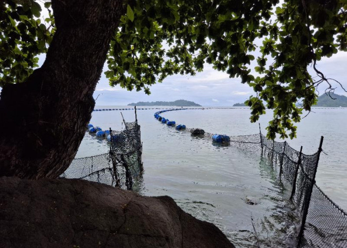 Viral Pagar Laut di Pantai Mutun, DPRD Lampung Minta Bongkar Jika Tak Berizin