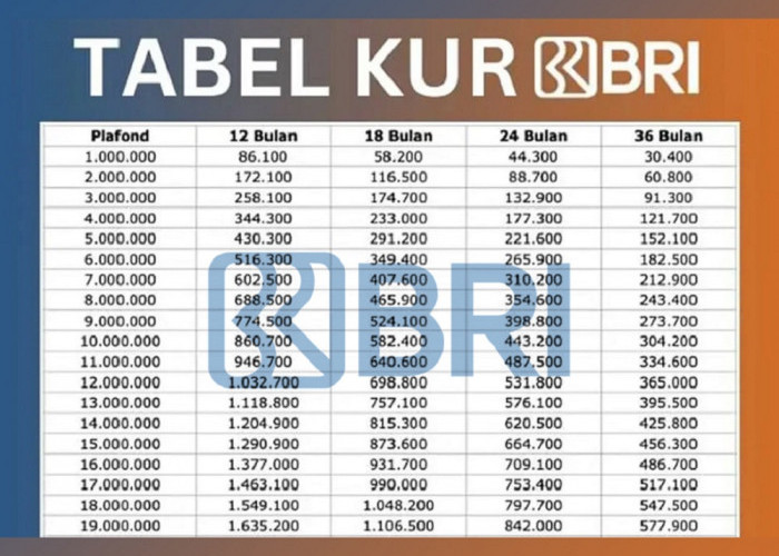 Angsuran KUR BRI Mulai Rp20 Ribu, UMKM Bisa Berkembang