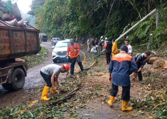 Sempat Lumpuh Total, Arus Lalu Lintas di Jalan Batu Brak-Belalau Kembali Normal