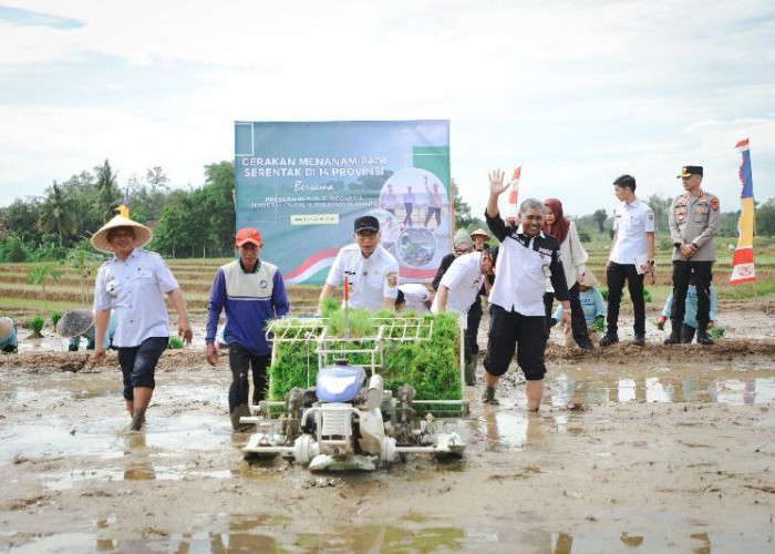 Pemprov Lampung Gaspol Hadapi Musim Tanam Kedua, Targetkan 3,5 Juta Ton Padi