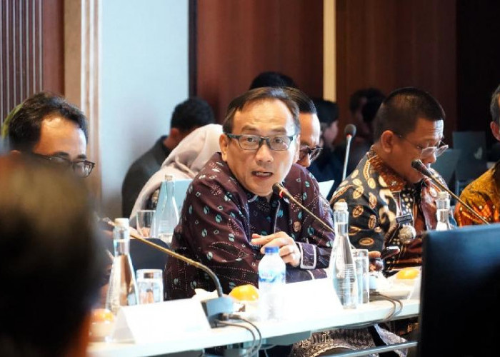 Lampung Siap Jadi Pusat Energi Terbarukan Nasional, DPR RI Soroti Tantangan Kelistrikan