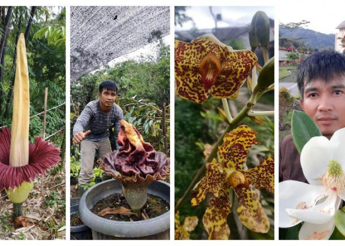 Kebun Raya Liwa Miliki 5.285 Spesimen Tumbuhan, Spesies Angrek, Talas-talasan dan Begonia Favorit Penelitian