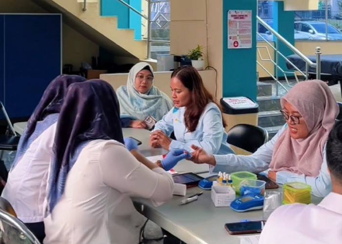 PLN UID Lampung dan PMI Kumpulkan 70 Kantong Darah Lewat Donor Darah Rutin