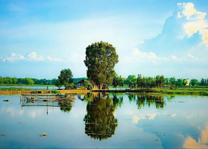 Danau Tirta Gangga, Oase Tenang di Jantung Lampung Tengah