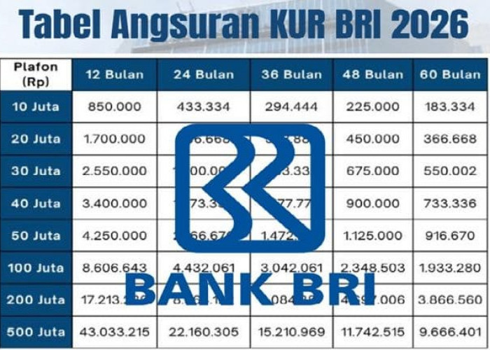 Pinjaman Rp50 Juta dengan Cicilan Terjangkau Mulai Rp1 Jutaan