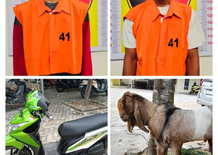 Polisi Ungkap Komplotan Sindikat Pencurian Hewan Ternak di Tanjung Bintang