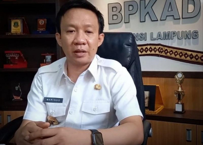 Realisasi Pendapatan Daerah Lampung Hingga 10 Mei 2025 Capai  Rp2, 2 Triliun
