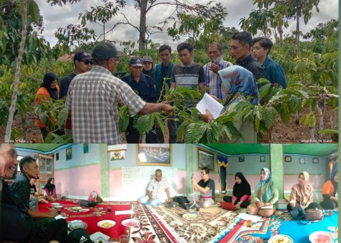 Tingkatkan SDM Petani Kopi, YABI dan TNBBS Buka Sekolah Lapang di Tebaliokh
