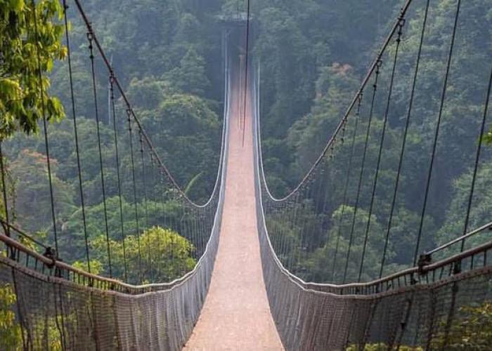Jembatan Gantung Situ Gunung, Ikon Petualangan Alam Sukabumi