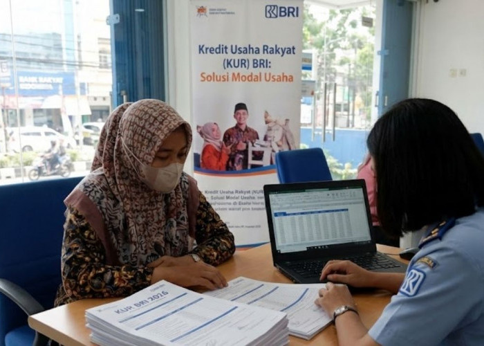 KUR BRI 2026 Resmi Berlaku, Plafon Nasional Tembus Rp320 Triliun