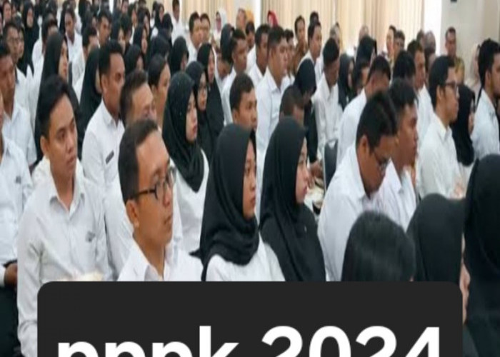 Guru Honorer Wajib Persiapan Dokumen Ini untuk Ikut Seleksi PPPK 2024