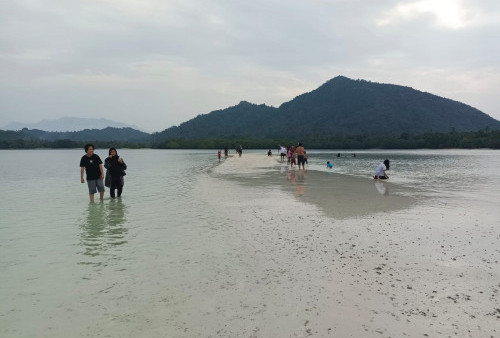 Wajib Dikunjungi, Fenomena Alam Pasir Timbul Salah Satu Spot Foto di Lampung 