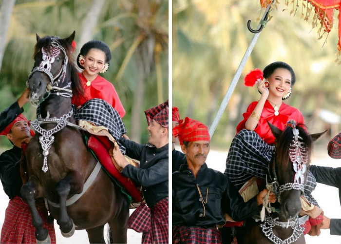 Mengenal Sayyang Pattu'duq, Tradisi Kuda Menari Khas Mandar Sulawesi Barat