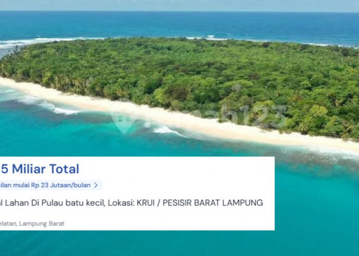 Heboh Pulau Batas Negara Dijual Online, Pulau Batu Kecil di Pesisir Barat Tampil di Situs Properti