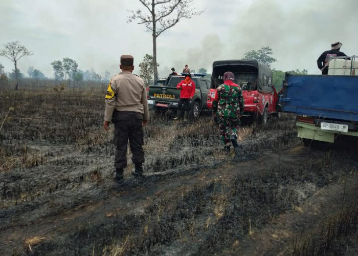 Ratusan Hektar Lahan Taman Nasional Way Kambas Terbakar, Kombes Pol Umi: Masih Dalam Penyelidikan 