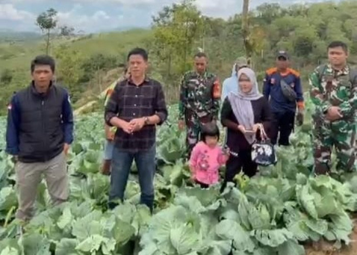 Sedampah Indah Kembangkan Food Estate Hortikultura, Dorong Kemandirian Ekonomi Desa